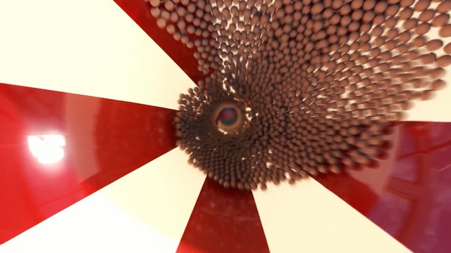 Video Reference: red, close up, macro photography