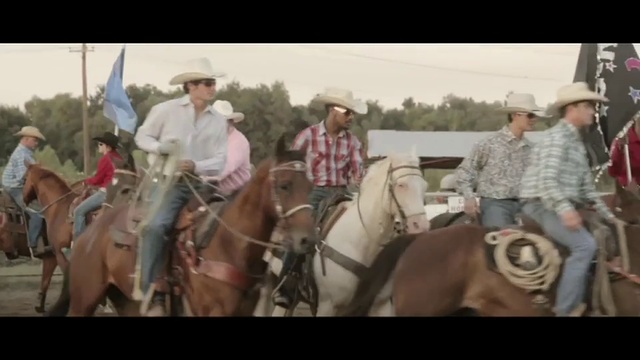 Video Reference: Horse, Animal sports, Mammal, Bridle, Vertebrate, Rein, Halter, Horse tack, Pack animal, Equestrian sport