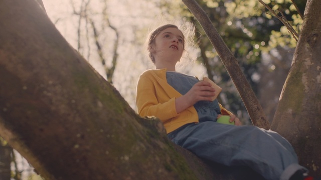 Video Reference: People in nature, Photograph, Sitting, Tree, Leaf, Branch, Photography, Sunlight, Woodland, Forest