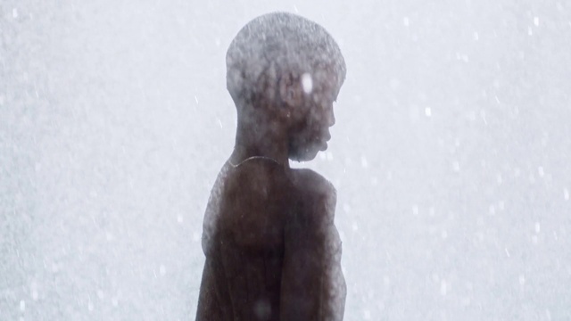 Video Reference: Sculpture, Statue, Art, Stone carving, Bronze sculpture, Figurine, Snow, Metal, Monument, Bronze