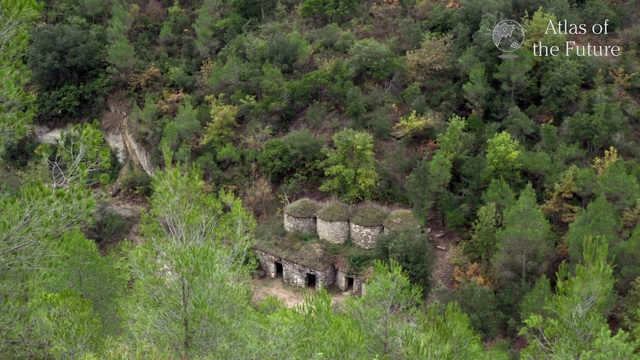 Video Reference: Vegetation, Nature, Nature reserve, Natural landscape, Shrubland, Plant community, Biome, Natural environment, Wilderness, Wildlife