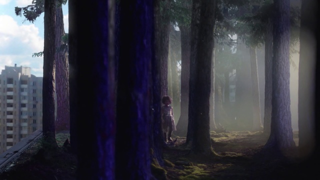 Video Reference: Forest, Nature, Tree, Woodland, Natural environment, Blue, Atmospheric phenomenon, Light, Purple, Sunlight