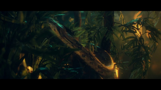 Video Reference: Nature, Organism, Darkness, Screenshot, Tree, Digital compositing, Art, Fractal art