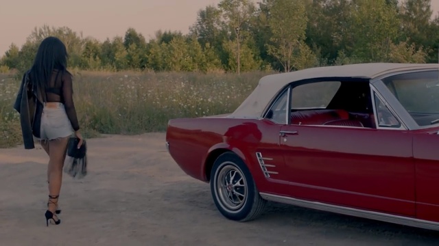 Video Reference: car, motor vehicle, vehicle, automotive design, automotive exterior, classic car, muscle car, performance car, full size car, wheel, Person