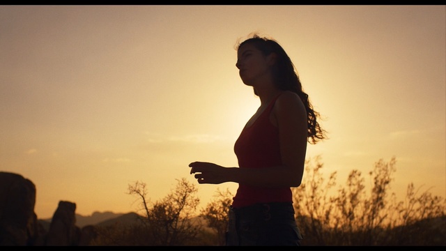 Video Reference: People in nature, Sky, Backlighting, Silhouette, Cloud, Morning, Photography, Sunlight, Sunset, Grass family, Outdoor, Person, Man, Standing, Front, Holding, Looking, Sun, Woman, Flying, Dark, Water, Young, Playing, Cloudy, Field, Shirt, Game, Clothing, Human face, Girl