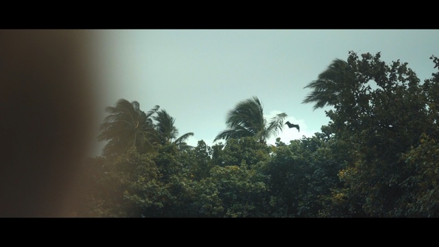 Video Reference: Nature, Sky, Vegetation, Tree, Atmospheric phenomenon, Cloud, Atmosphere, Forest, Green, Natural environment