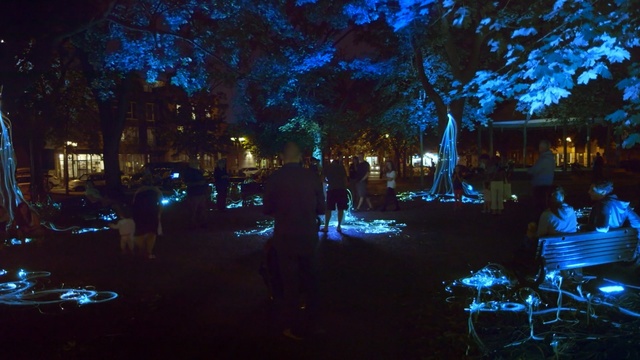 Video Reference: blue, night, darkness, light, reflection, tree, lighting, landscape lighting, sky, evening