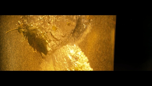 Video Reference: Yellow, Light, Amber, Lighting, Atmosphere, Sunlight, Organism, Heat, Geological phenomenon, Space
