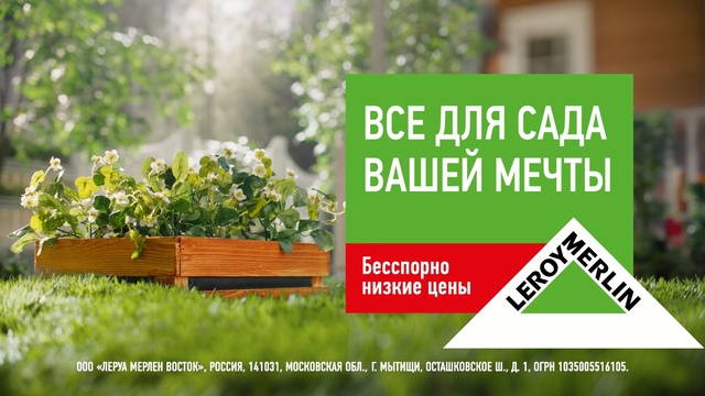 Video Reference: Garden, Lawn, Plant, Grass, Herb, Wood, Fines herbes, Plant community, Real estate, Groundcover