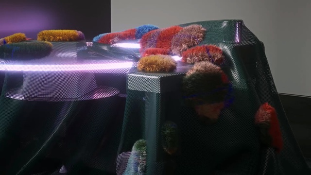 Video Reference: purple, light, fun, space, glass, Person