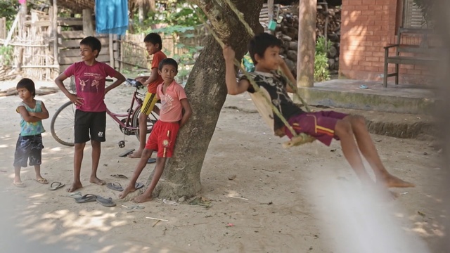 Video Reference: Fun, Tree, Leisure, Adaptation, Vacation, Child, Vehicle, Recreation, Play