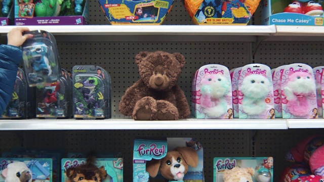 Video Reference: Toy, Shelf, Collection, Teddy bear, Plush, Stuffed toy, Shelving, Room, Bear, Souvenir