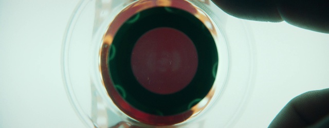 Video Reference: Red, Green, Pink, Circle, Eye, Nail polish, Close-up, Magenta, Cosmetics
