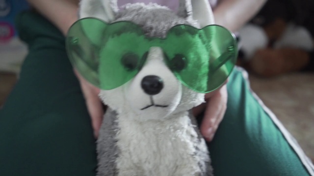 Video Reference: Green, Head, Canidae, Snout, Dog breed, Fur, Plush, Textile, Stuffed toy, Companion dog