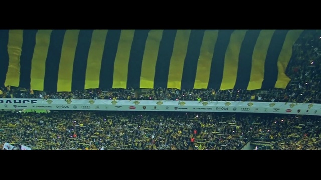 Video Reference: Green, Stadium, Sport venue, Yellow, Line, Soccer-specific stadium, Grass, Architecture, Flag, Arena