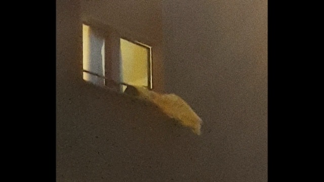 Video Reference: Wall, Yellow, Plaster, Still life photography, Material property, Room, Architecture, Plywood, Wood, Shadow