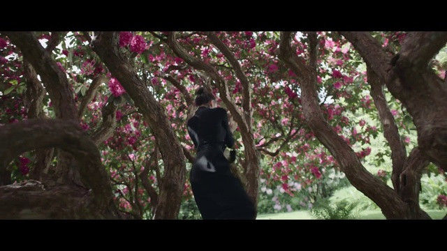 Video Reference: Flower, Plant, People in nature, Twig, Tree, Petal, Trunk, Wood, Deciduous, Grass