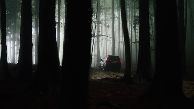 Video Reference: Atmosphere, Plant, Automotive lighting, Wood, Vehicle, Branch, Tire, Tree, Sky, Car