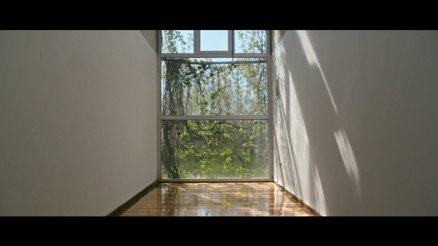 Video Reference: Property, Daylighting, House, Floor, Window, Room, Architecture, Wall, Real estate, Flooring