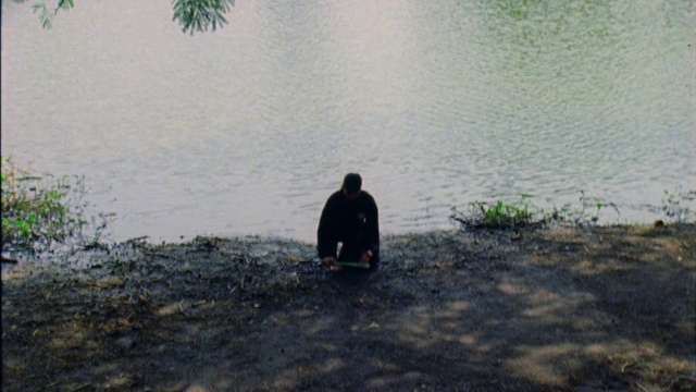 Video Reference: Water, Atmospheric phenomenon, Morning, Sitting, Tree, Adaptation, Calm, Photography, River, Landscape