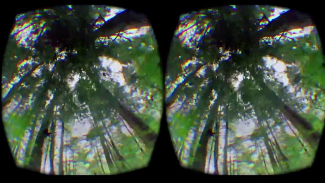 Video Reference: Glass, Tree, Stained glass, Photography, Window