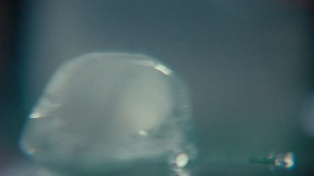 Video Reference: Blue, Water, Sky, Transparent material, Atmosphere, Photography, Cloud, Macro photography