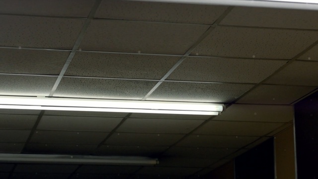 Video Reference: ceiling, daylighting, light, lighting, wall, roof, daytime, line, sky, angle