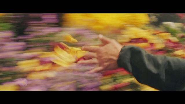 Video Reference: Yellow, Flower, Petal, Snapshot, Plant, Hand, Floral design, Floristry, Photography, Art