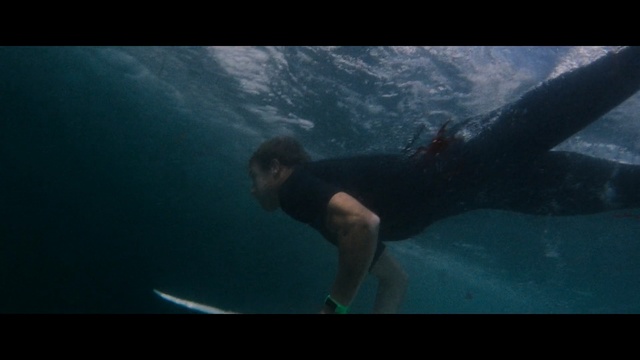 Video Reference: Underwater, Freediving, Underwater diving, Water, Recreation, Marine biology, Sea