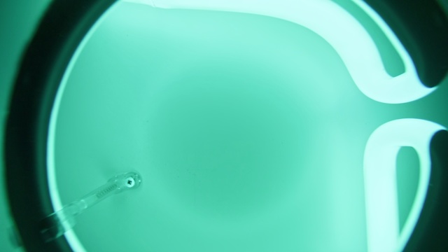 Video Reference: Green, Water, Aqua, Blue, Turquoise, Teal, Circle, Photography, Liquid, Macro photography