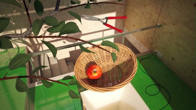 Video Reference: apple, tree, scissors