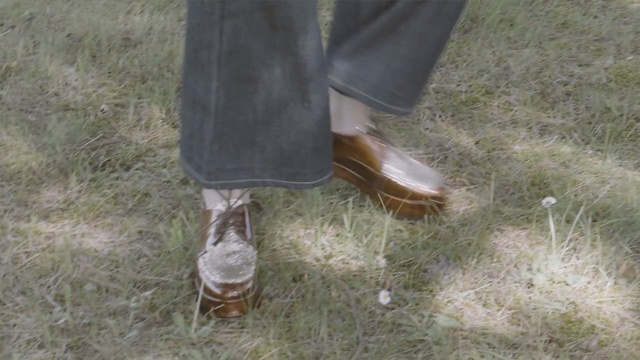 Video Reference: footwear, shoe, grass, outdoor shoe, boot