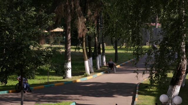 Video Reference: Nature, Tree, Public space, Recreation, Park, Woody plant, State park, Leisure, Lawn, Landscape