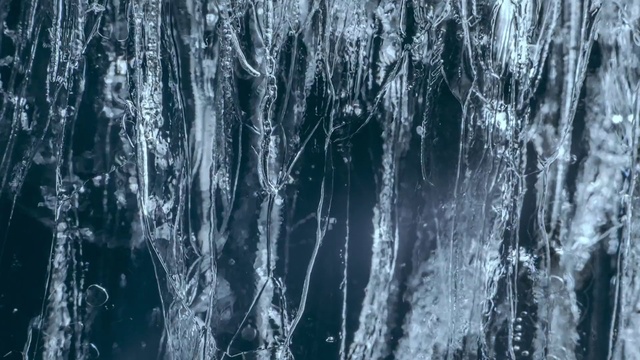 Video Reference: Water, Nature, Ice, Freezing, Icicle, Tree, Formation, Forest, Black-and-white, Winter