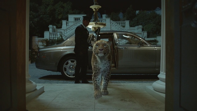 Video Reference: Vehicle door, Car, Vehicle, Luxury vehicle, Photography, Mid-size car, Night, Automotive window part, Window, Family car