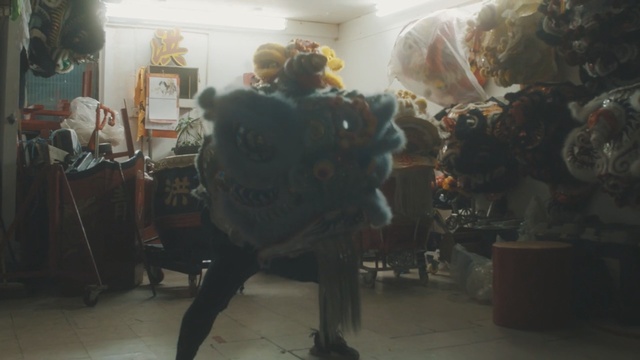 Video Reference: performance art, fun, crowd, art