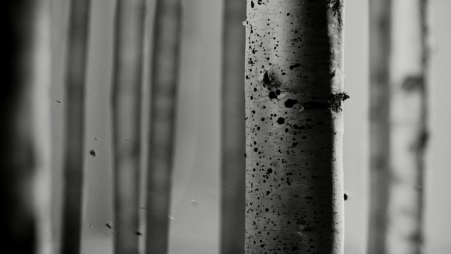 Video Reference: black, black and white, monochrome photography, photography, monochrome, wood, still life photography, metal