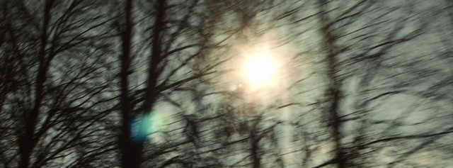 Video Reference: Nature, Tree, Sunlight, Sky, Natural environment, Branch, Light, Forest, Atmospheric phenomenon, Woodland, Person