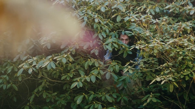 Video Reference: Plant, Tree, Camouflage, Leaf, Military camouflage, Branch, Shrub, Flower, Jungle