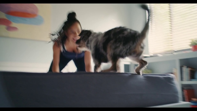 Video Reference: Dog, Canidae, Fun, Carnivore, Dog breed