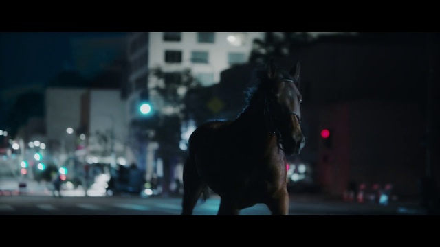 Video Reference: Black, Light, Horse, Darkness, Snapshot, Night, Mode of transport, Lighting, Photography, Sky