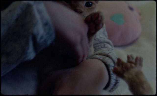 Video Reference: Child, Nose, Cheek, Skin, Baby, Finger, Hand, Eye, Mouth, Human, Indoor, Cat, Person, Sitting, Looking, Laying, Bed, Front, Small, Laptop, Lying, Woman, Orange, Holding, Girl, Little, Computer, Sleeping, Dog, Playing, White, Stuffed, Man, Blurry, Room, Toddler, Sleep, Staring