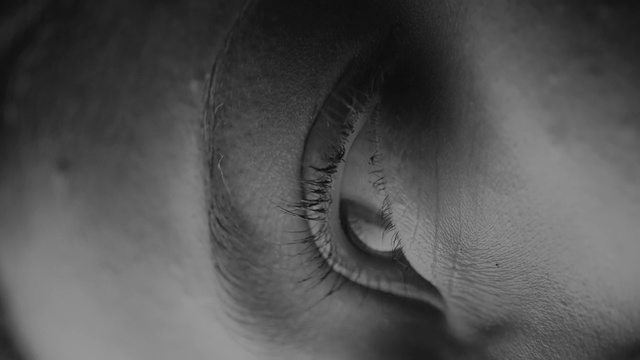 Video Reference: Photograph, Eye, Eyelash, Skin, Close-up, Organ, Eyebrow, Nose, Ear, Iris