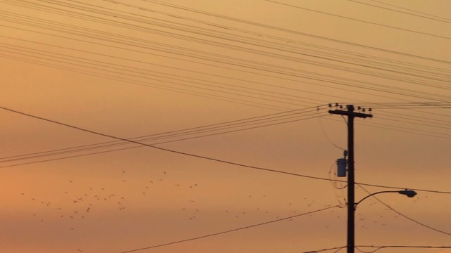 Video Reference: sky, overhead power line, electricity, electrical supply, cloud, morning, line, atmosphere, horizon, public utility
