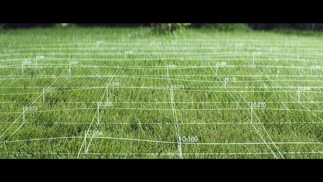 Video Reference: Green, Leaf, Grass, Net, Grass, Sport venue, Plant, Line, Lawn, Artificial turf