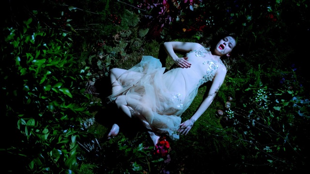 Video Reference: People in nature, Green, Natural environment, Beauty, Grass, Tree, Dress, Photography, Organism, Darkness