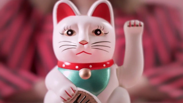 Video Reference: Pink, Cat, Whiskers, Felidae, Hand, Small to medium-sized cats, Animation, Smile, Illustration