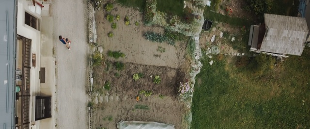 Video Reference: wall, tree, facade, grass, house, window