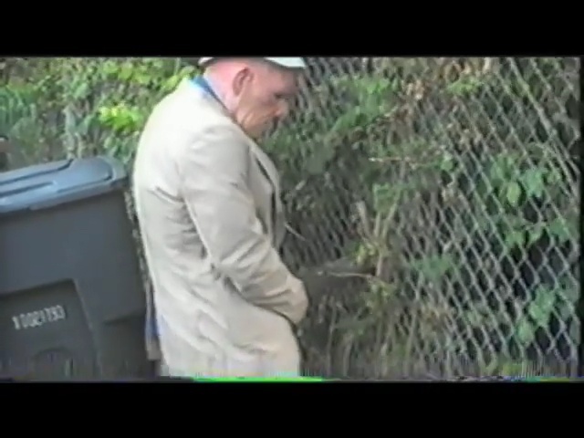 Video Reference: ecosystem, mammal, tree, mode of transport, grass, plant, biome, net, grass family