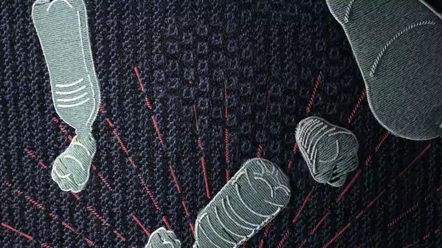 Video Reference: black, pattern, line, organism, font, product, space